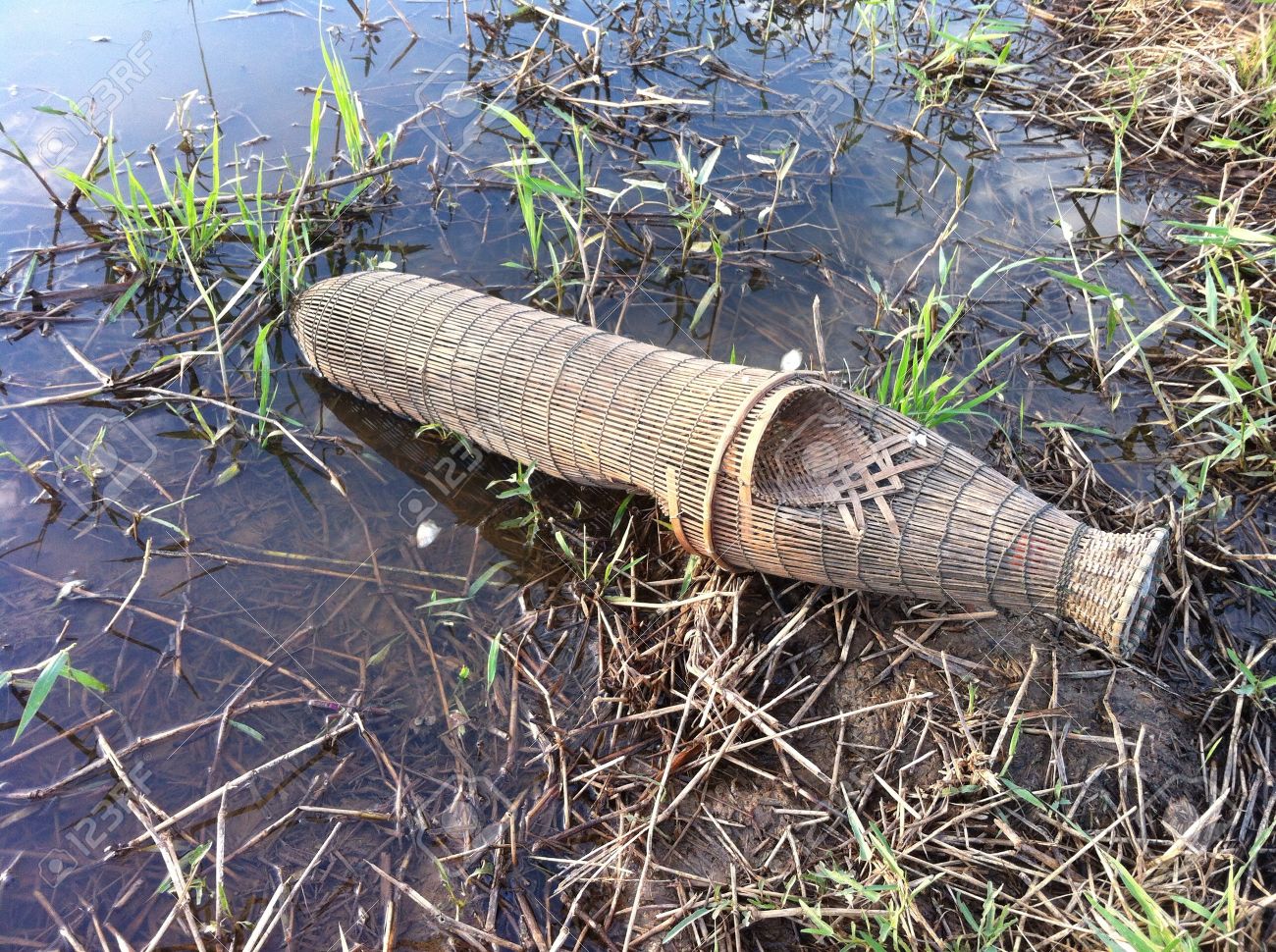 River fish trap Clearance