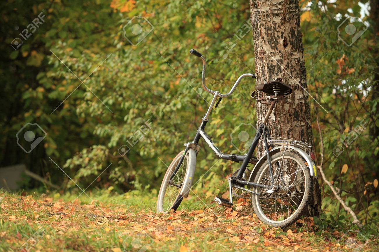 old folding bike
