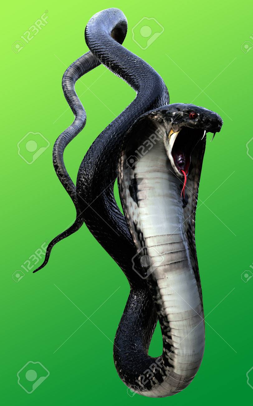 3d King Cobra Black Snake The World S Longest Venomous Snake