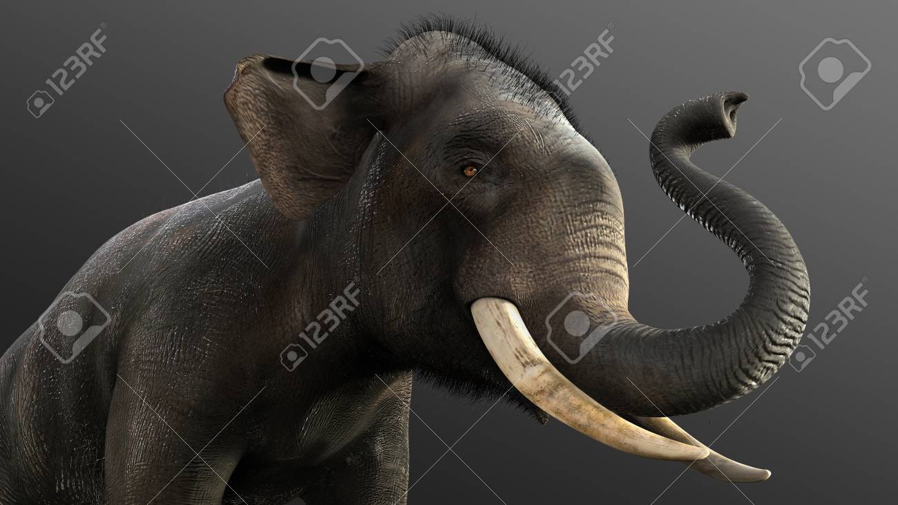 3 D の図象は 黒い背景 クリッピング パスと暗闇の中で象に分離します の写真素材 画像素材 Image 3 D の図象は 黒い背景 クリッピング パスと暗闇の中で象に分離します の写真素材 画像素材 Image