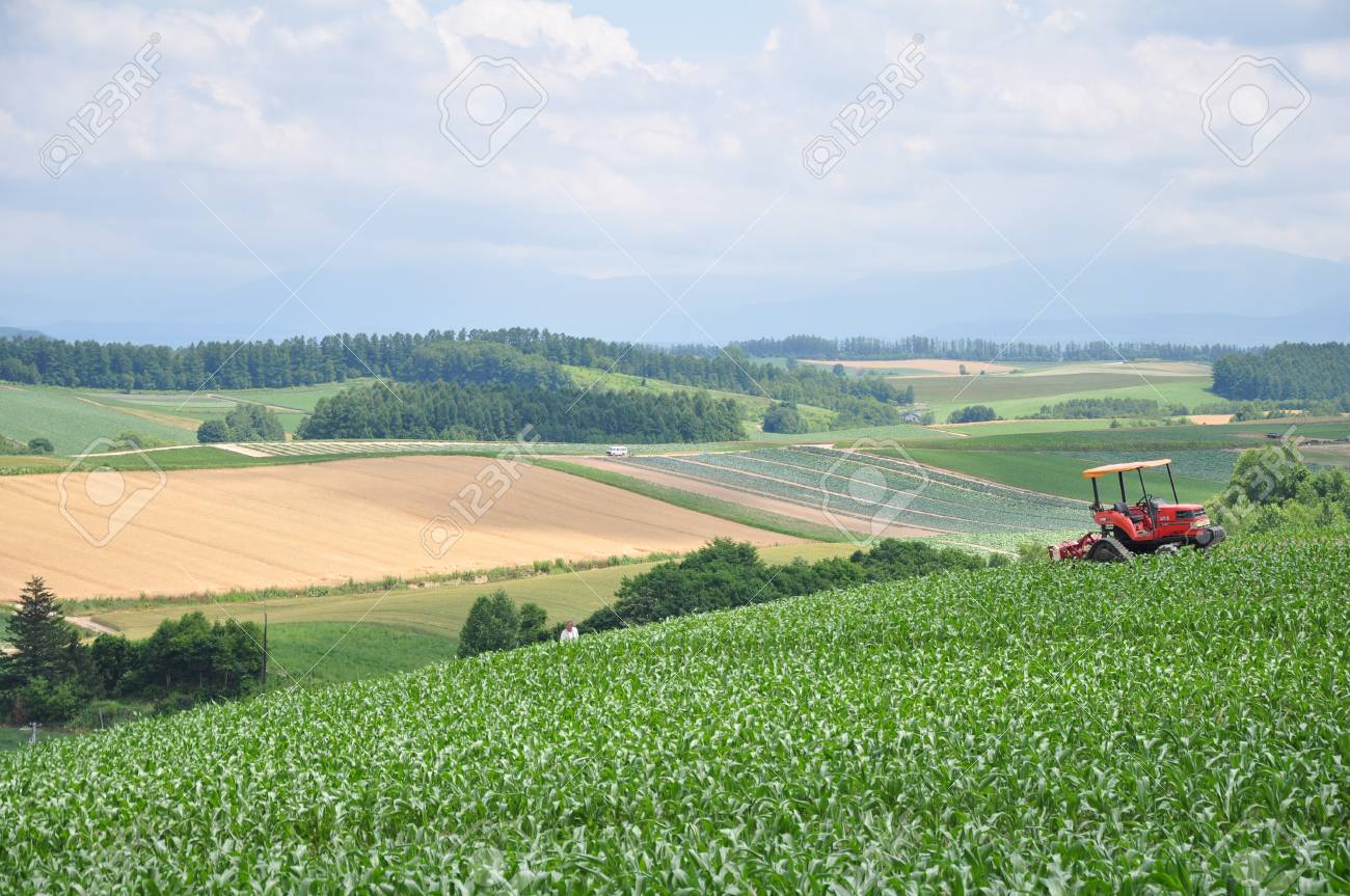 北海道の美瑛の田園風景 の写真素材 画像素材 Image