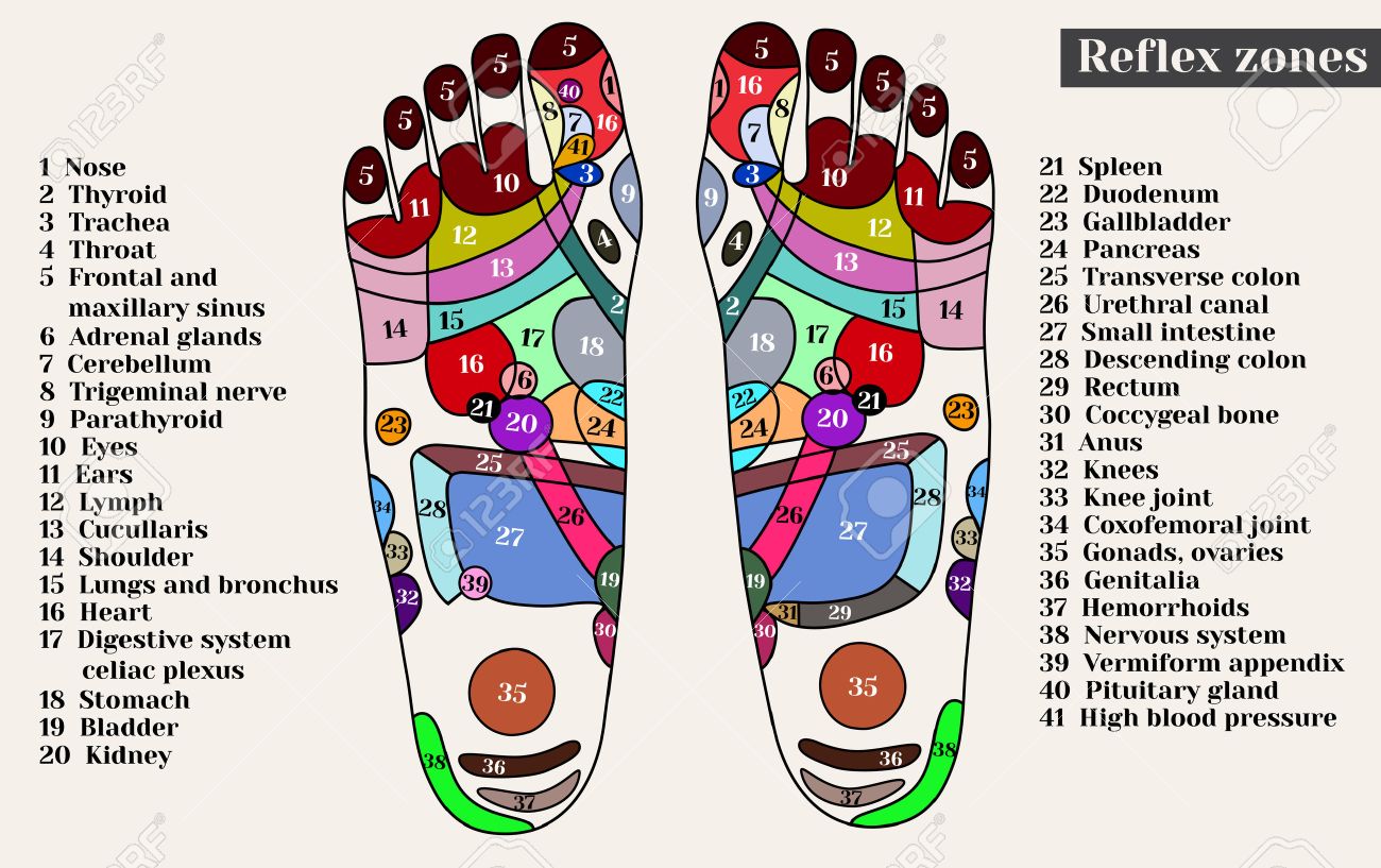 Points D Acupuncture Sur Les Pieds Les Zones Reflexes Sur Les Pieds Acupuncture Medecine Chinoise Clip Art Libres De Droits Vecteurs Et Illustration Image