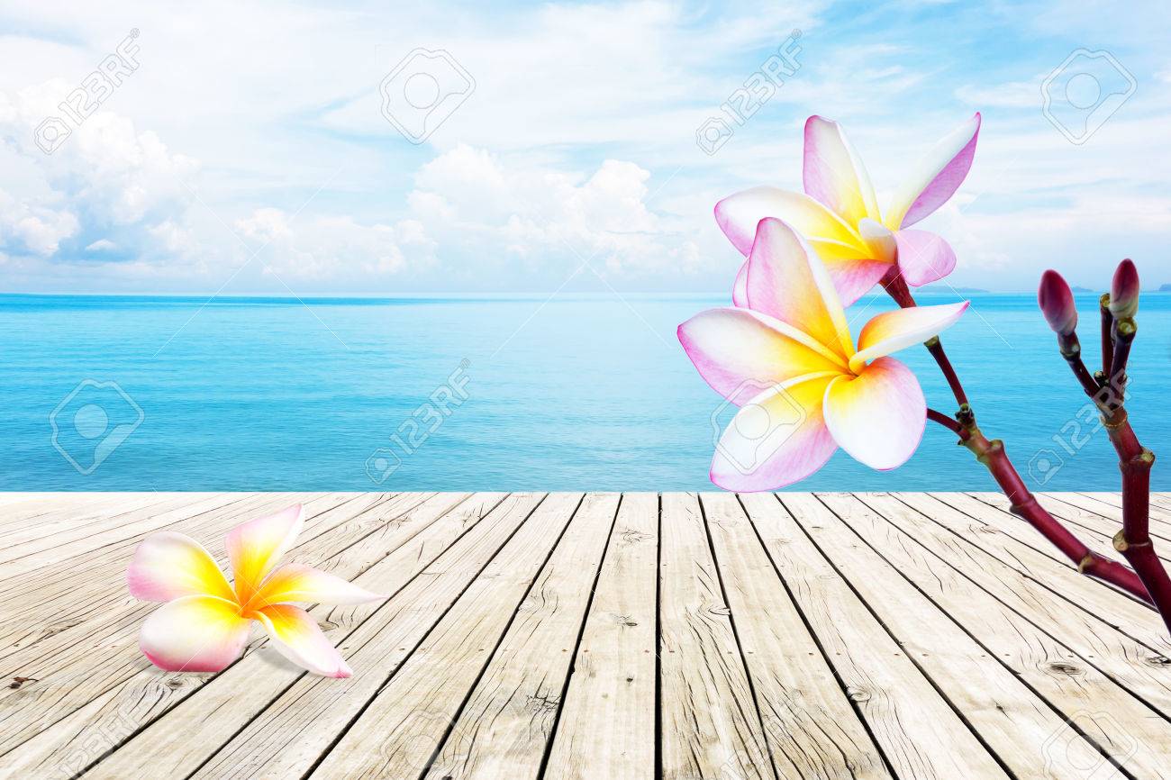 プルメリアの花と青い海と空と木製の桟橋 の写真素材 画像素材 Image