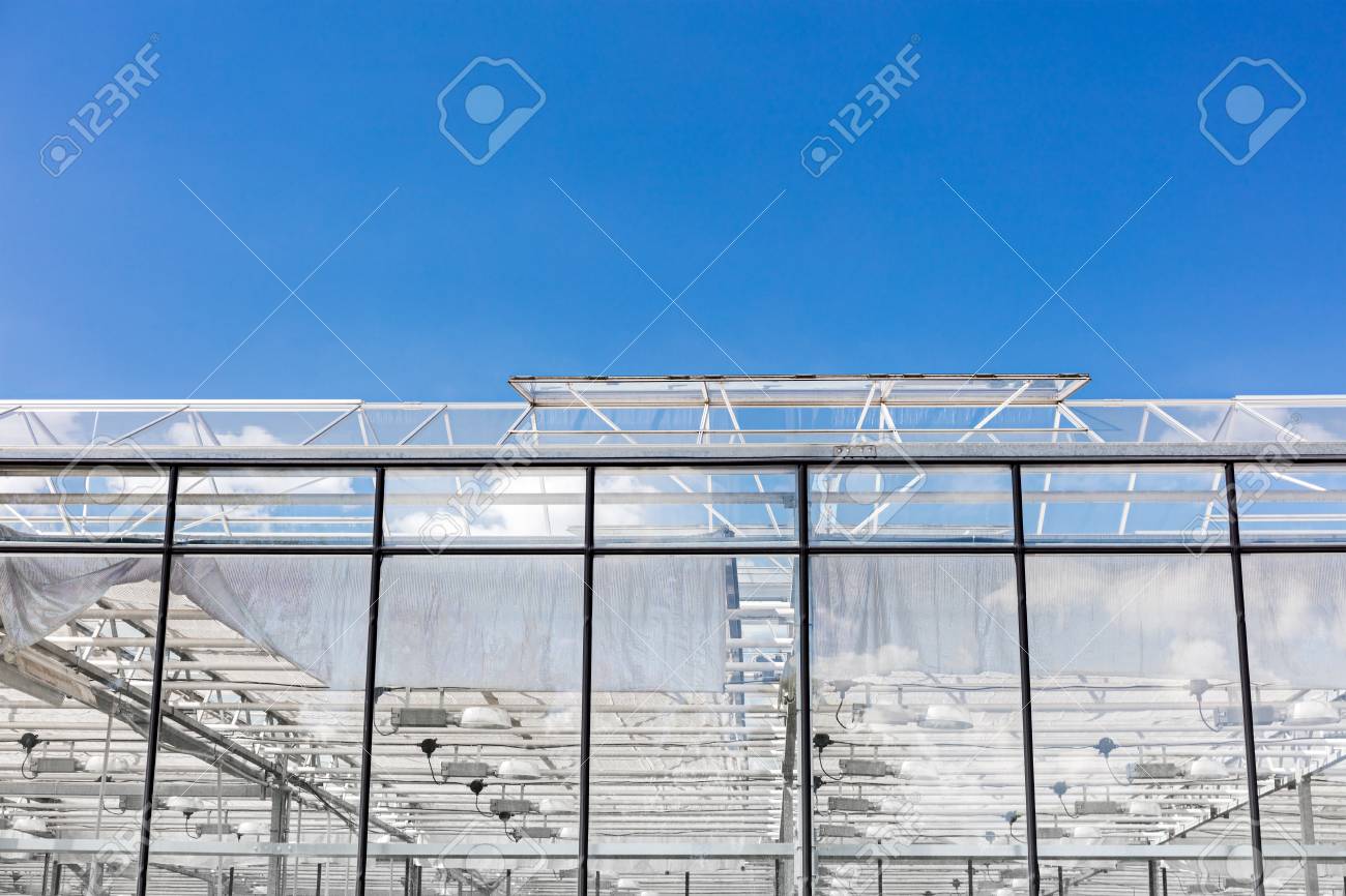 透明なガラス屋根が付いている温室の換気窓を開け の写真素材 画像素材 Image