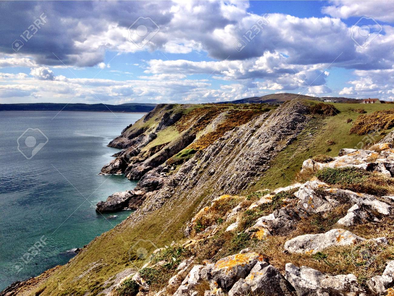 etiam-dictum-ipsum-a-felis