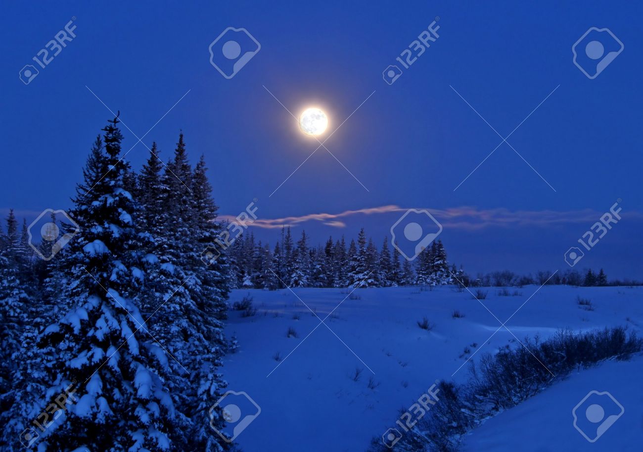 満月とスプルースの木々 と雪の夜にアラスカの冬の風景以上上昇しています の写真素材 画像素材 Image