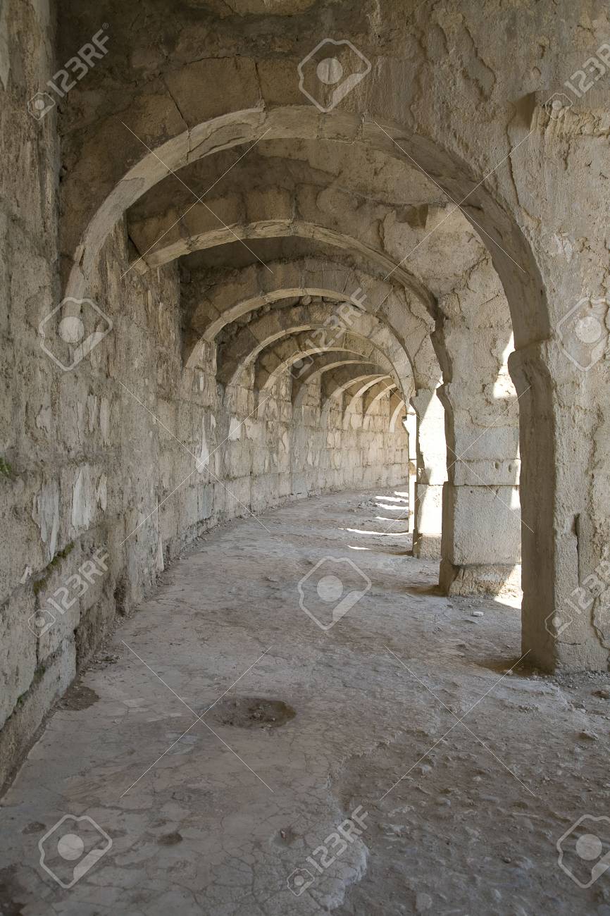 etiam-dictum-ipsum-a-felis