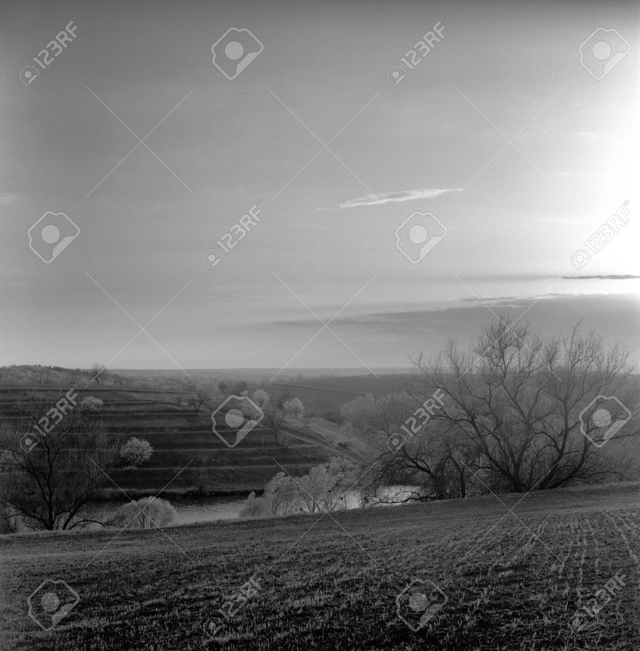 Black white film orange filter stock photo 8971392