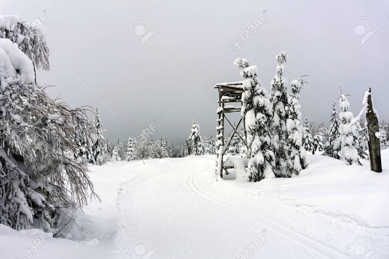 山で鹿スタンド ツリー スタンド 見張り塔 木々 は新雪で覆われています クロスカントリーのスキー トレイルを手入れ 冬の山の風景 の写真素材 画像素材 Image