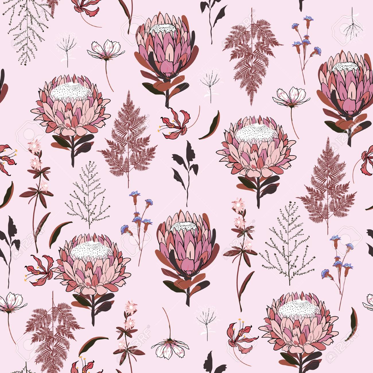 シームレスパターンプロテアの花 淡いピンク色に隔離 植物の花の装飾の質感 ファブリックプリント 壁紙の背景のためのヴィンテージスタイルのデザイン のイラスト素材 ベクタ Image