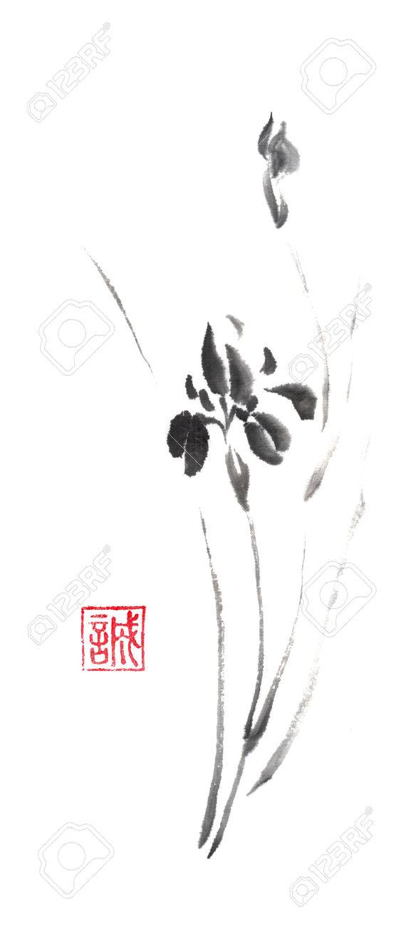 home decor wall art unframed Big Iris art Original Sumi Painting gift plant black /& white flower garden ink unframed gardener