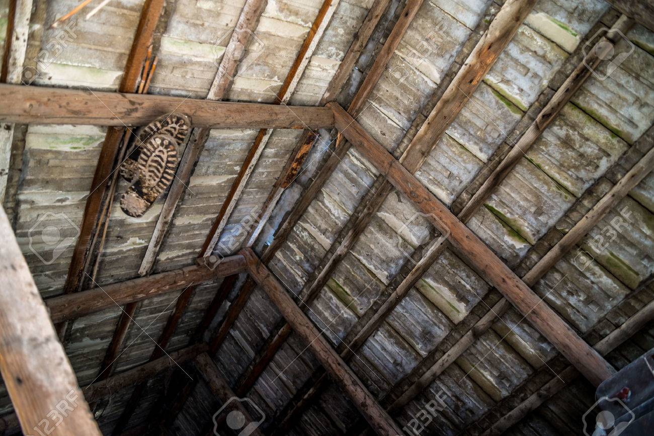 Abandoned in the Attic!