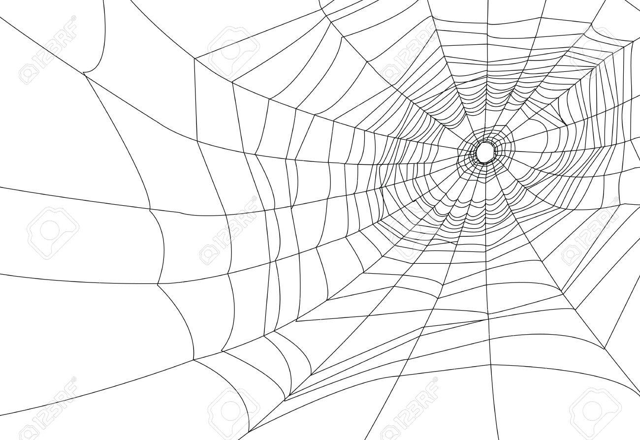 スパイダー Web または蜘蛛の巣のイラスト のイラスト素材 ベクタ Image