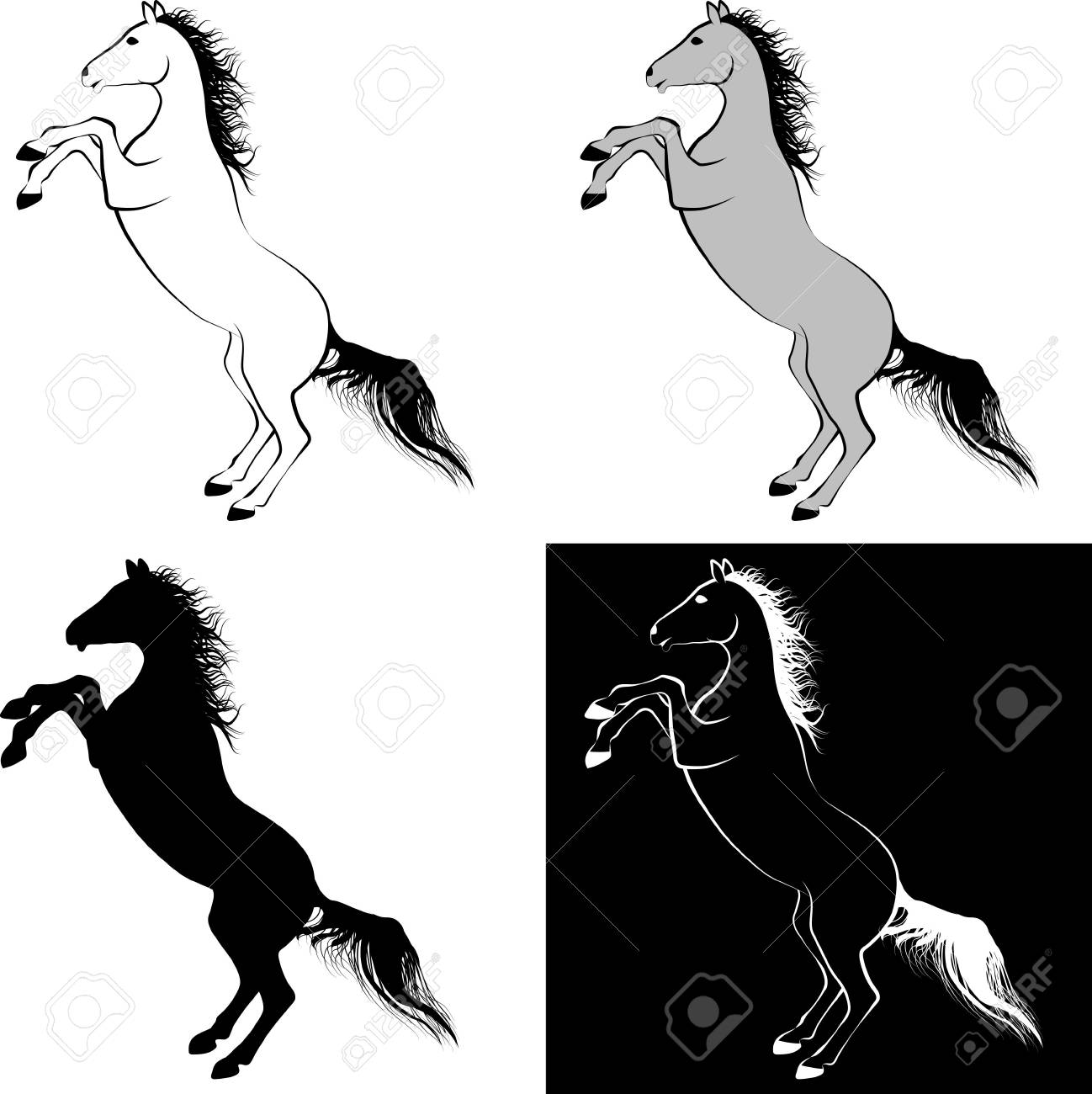 Rearing Horse Clip Art Illustration And Line Art Royalty Free