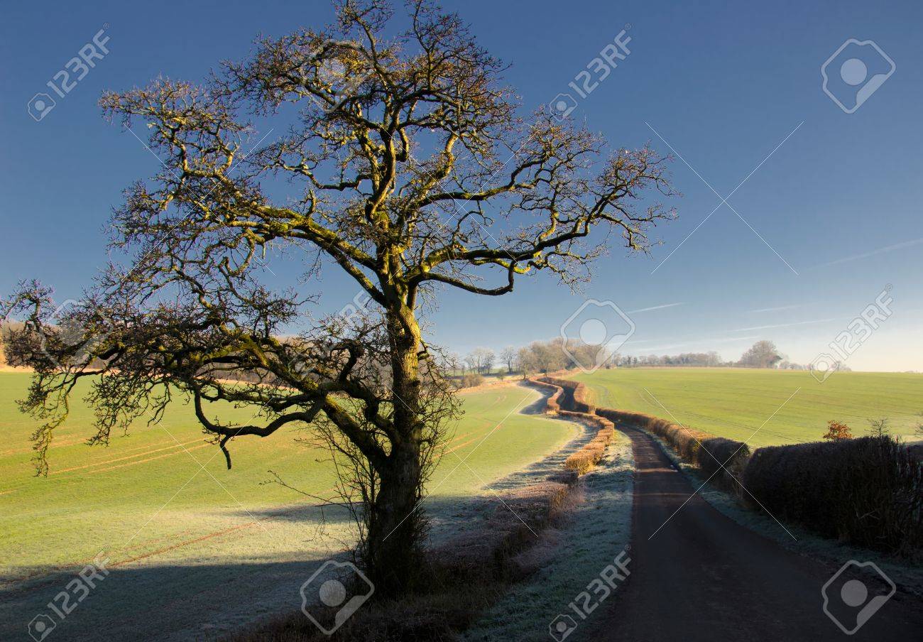 英語の田園地帯を通って続く単一道 の写真素材 画像素材 Image