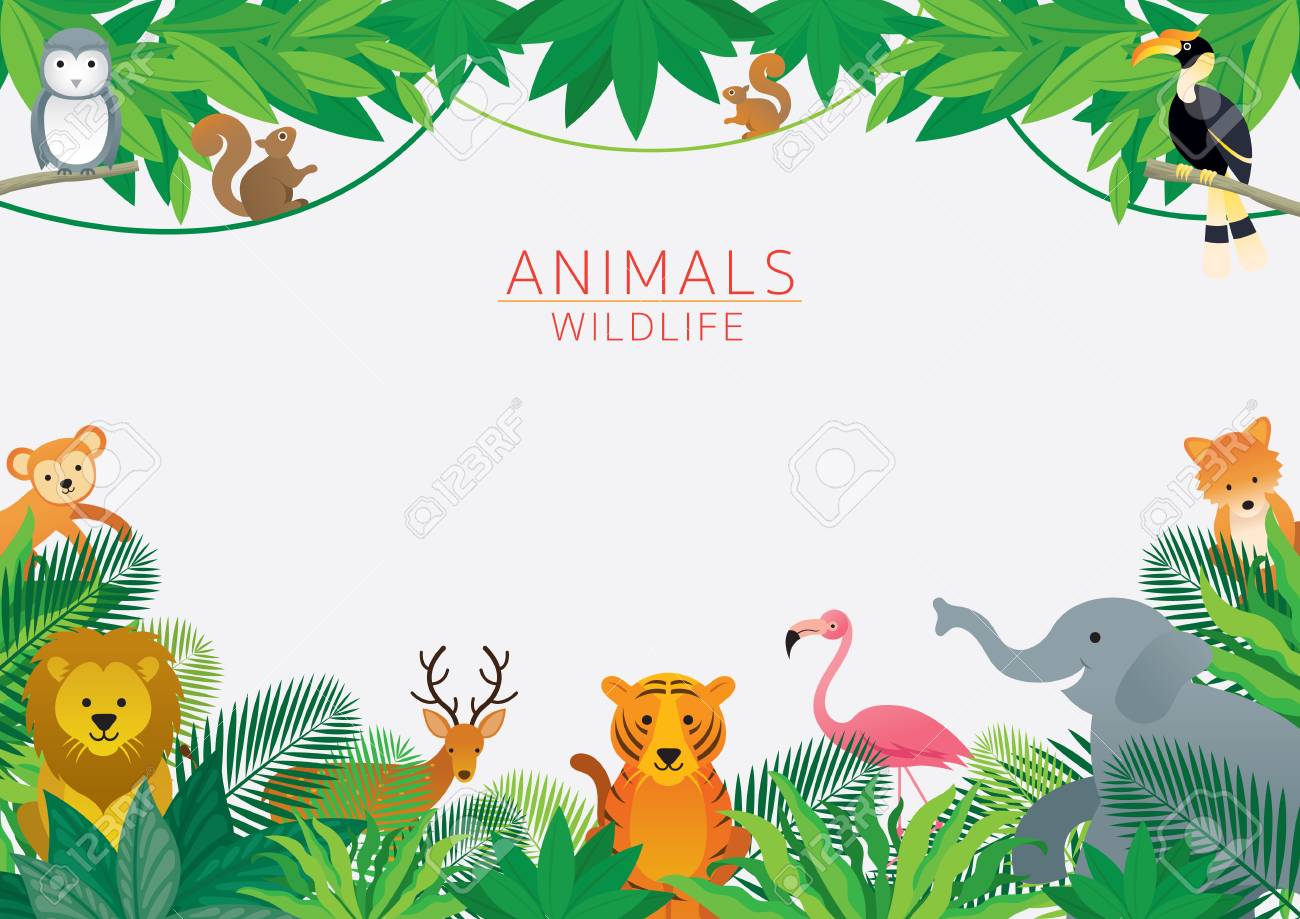 Wild Animals in Jungle, Frame, Kids and Cute Cartoon Style - 114935216 Wild Animals in Jungle, Frame, Kids and Cute Cartoon Style - 114935216