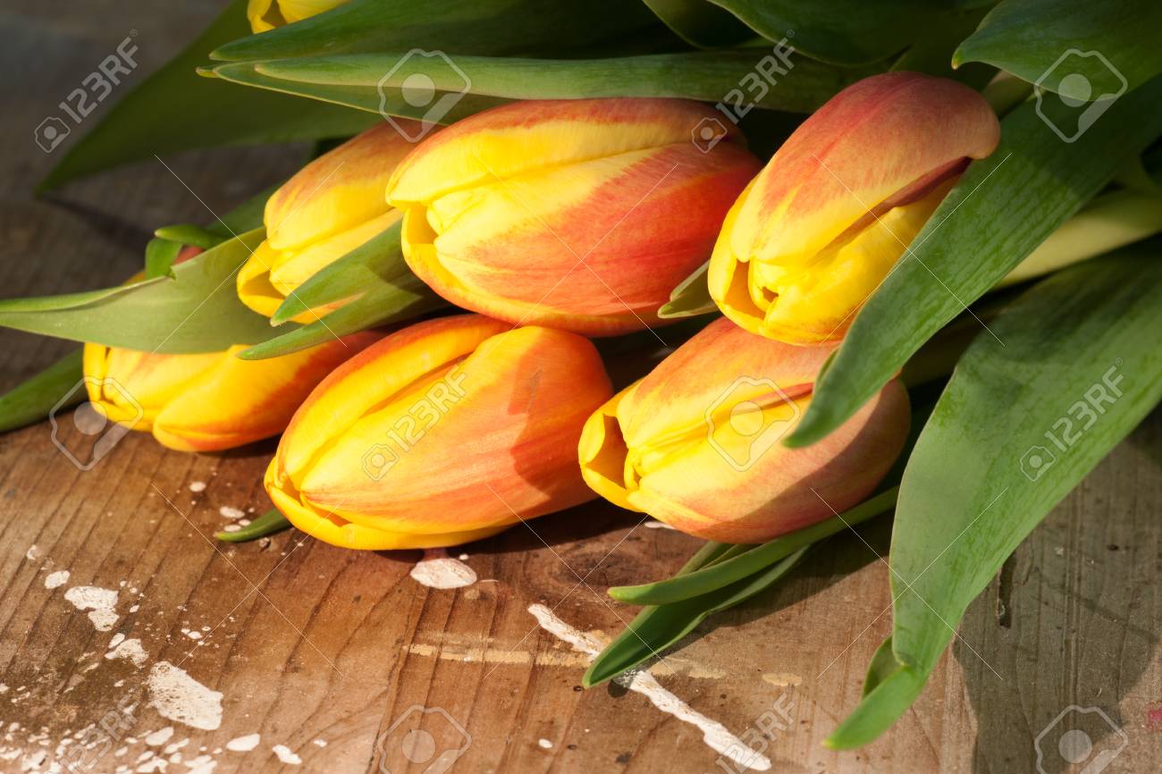Tulips on an antique wooden background - 43358386 Tulips on an antique wooden background - 43358386