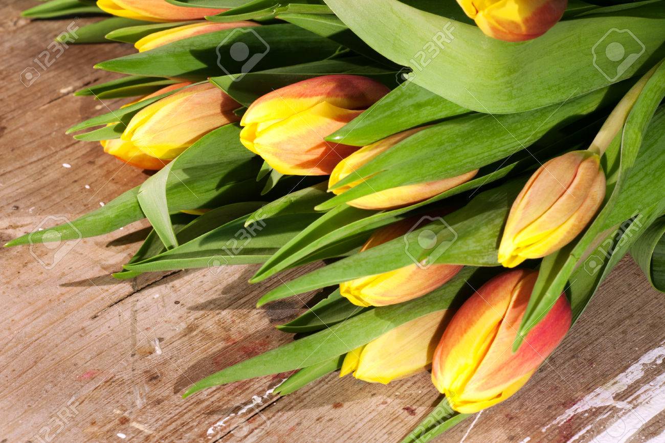 Tulips on an antique wooden background - 43358389 Tulips on an antique wooden background - 43358389