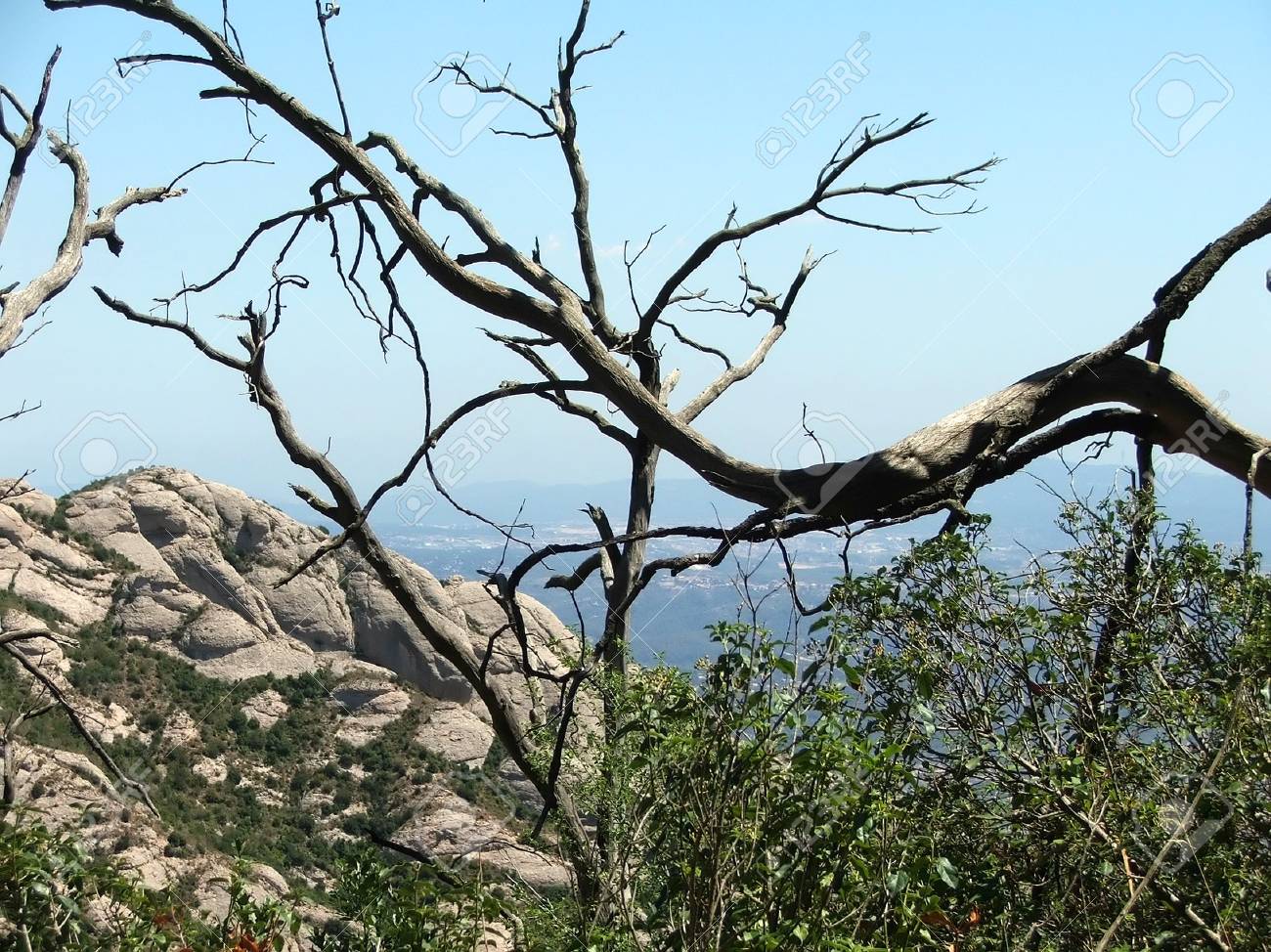 Rechercher Dans La Vallee De La Montagne De Montserrat A Travers Les Branches D Un Arbre Mort Banque D Images Et Photos Libres De Droits Image 8677
