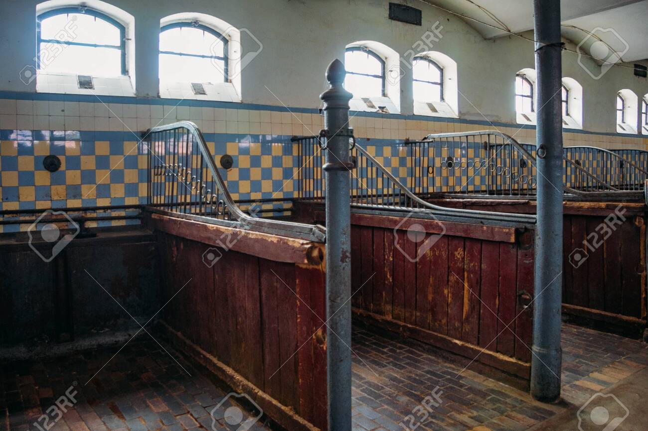 etiam-dictum-ipsum-a-felis