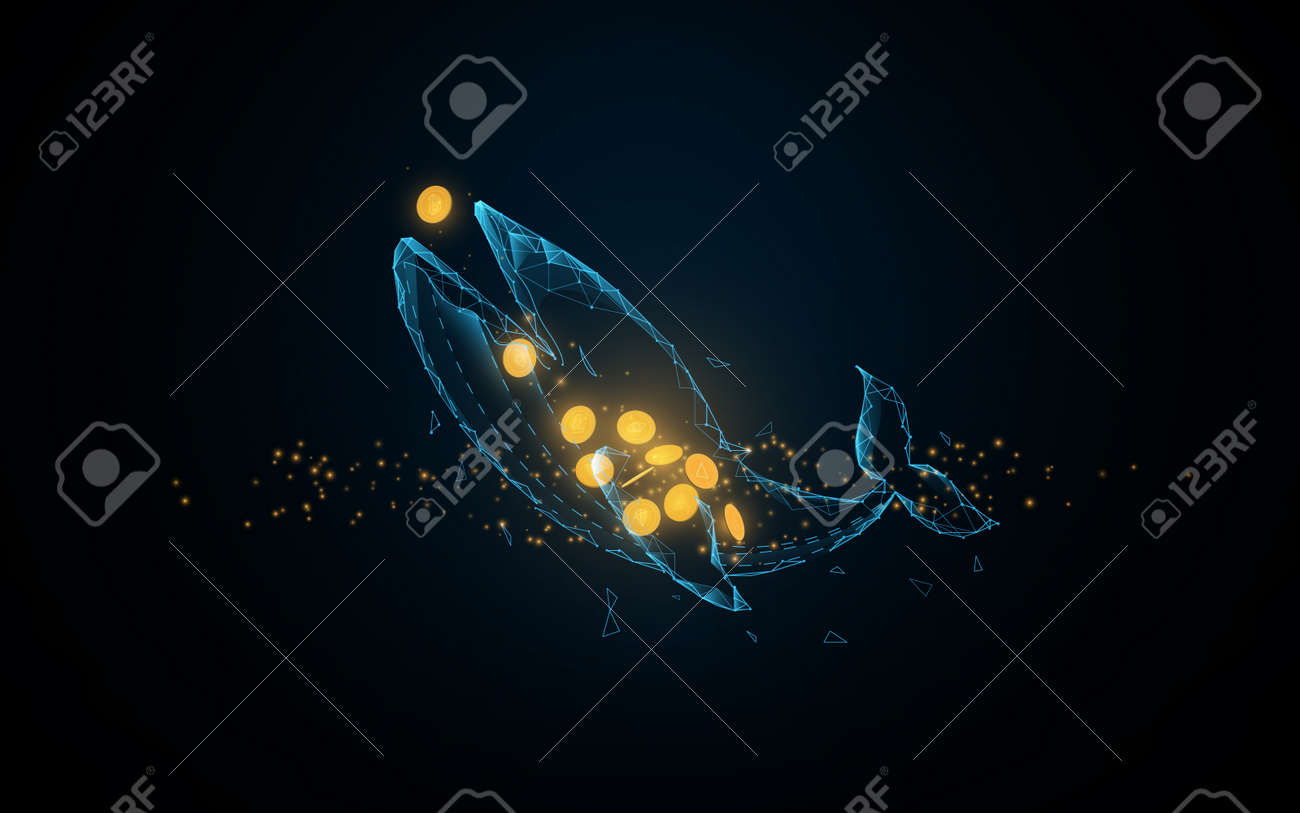 비트코인, 암호화폐를 먹는 고래. 낮은 다각형 선, 삼각형 및 입자 스타일 디자인. 추상적 인 기하학적 와이어 프레임 조명 연결 구조.  벡터 일러스트 레이 션 로열티 무료 사진, 그림, 이미지 그리고 스톡포토그래피. Image