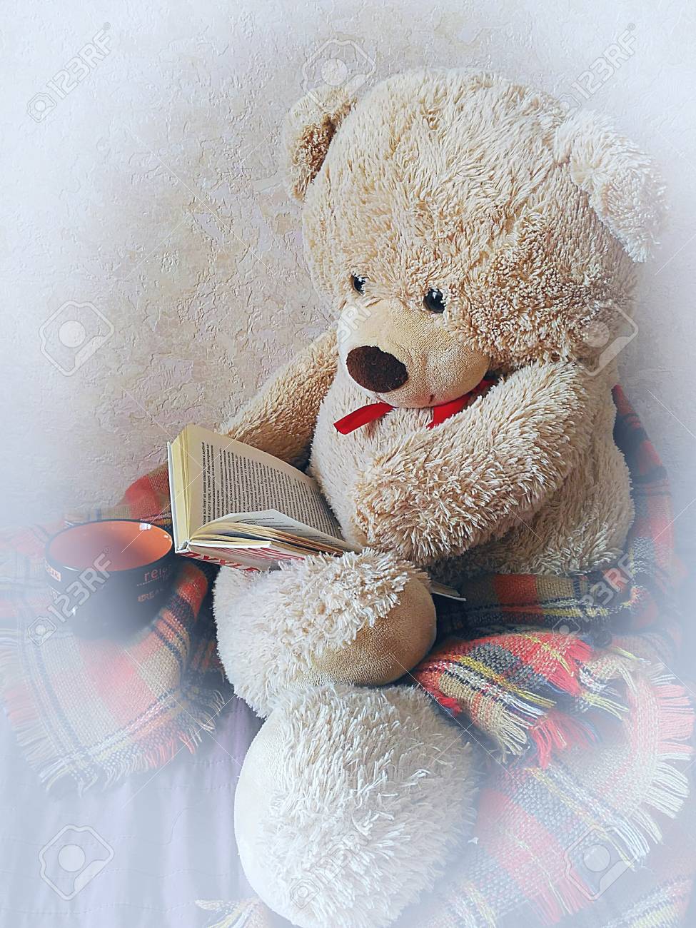 Teddy Bear Reading A Book Home Furnishings Stock Photo Picture And Royalty Free Image Image 73598806