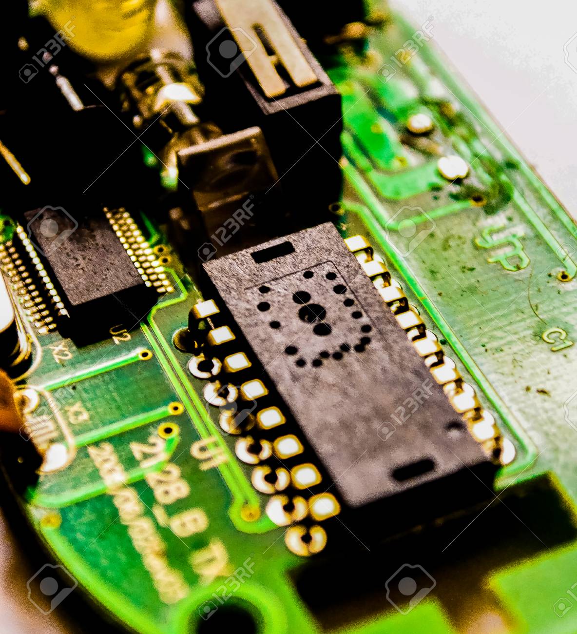 etiam-dictum-ipsum-a-felis