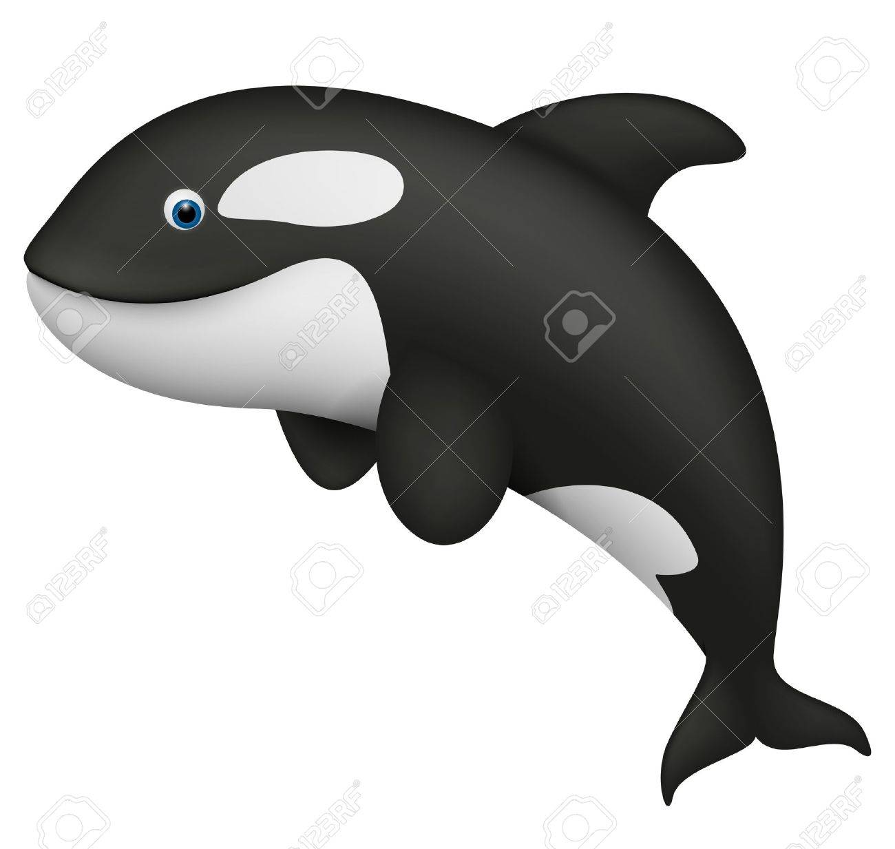 Cute Realistic Killer Whale Royalty Free Cliparts Vectors And Stock Illustration Image