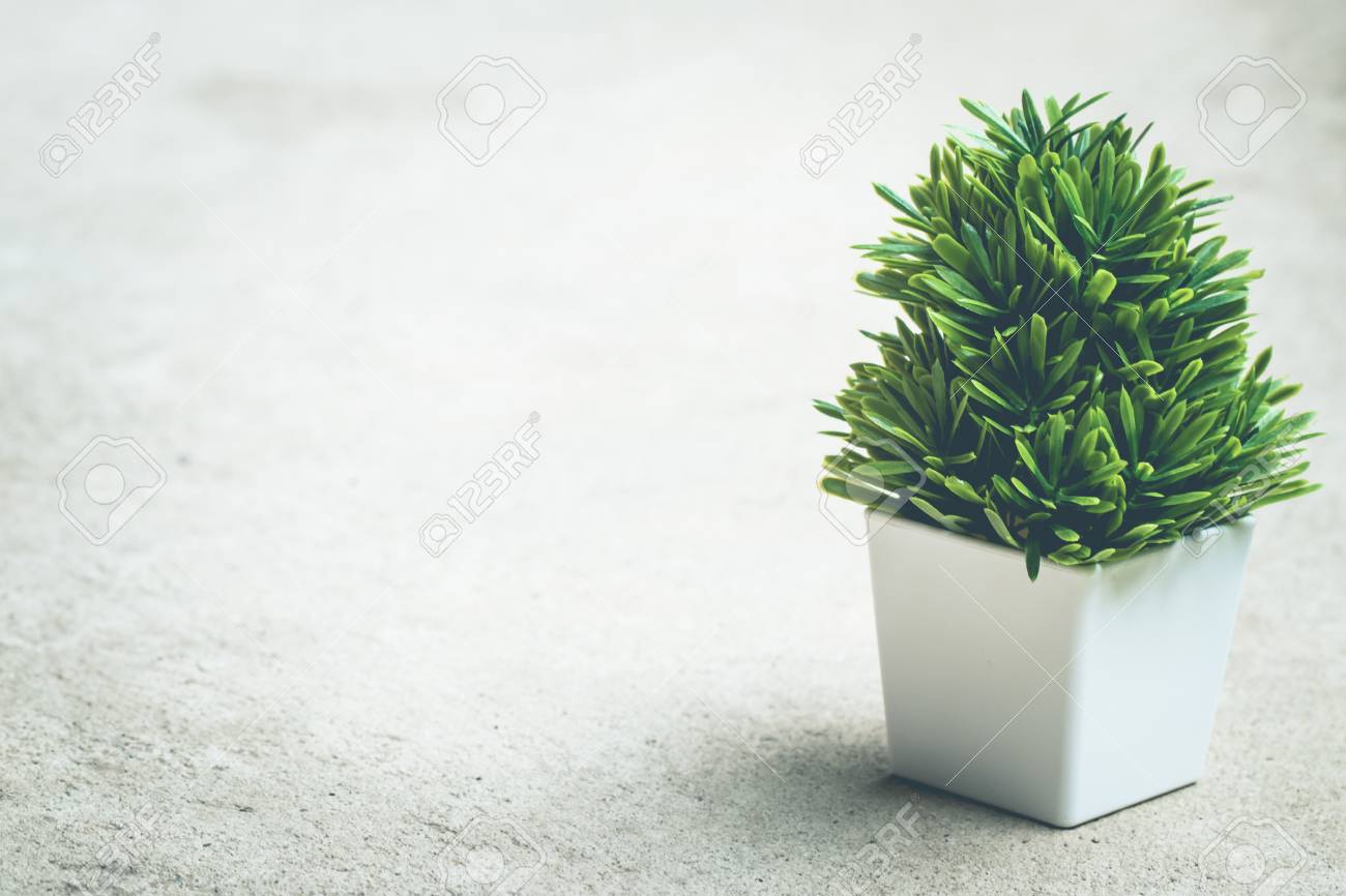 Small artificial tree on ground vintage background. copy space - 83741099 Small artificial tree on ground vintage background. copy space - 83741099