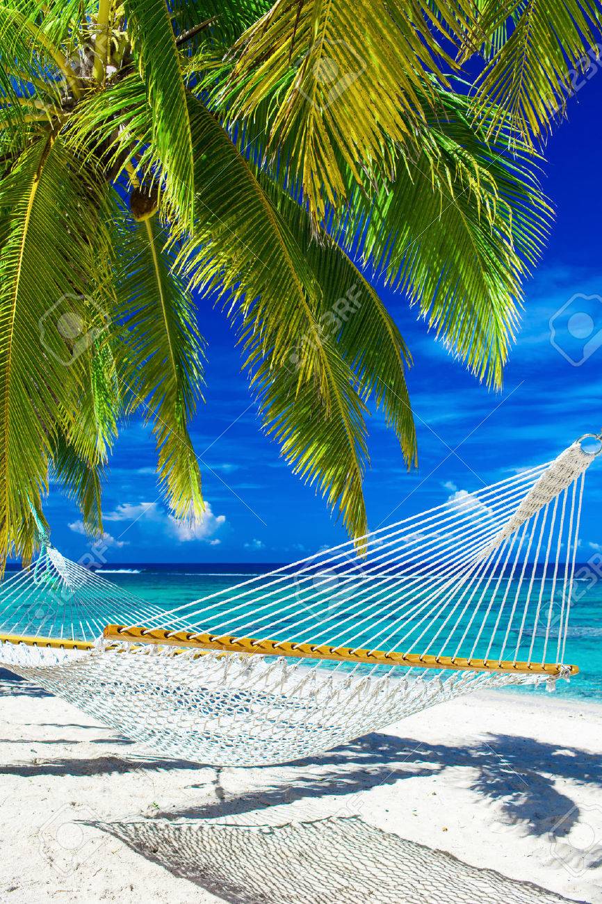 Hamac Blanc Sur La Plage Entre Des Palmiers Surplombant Locéan