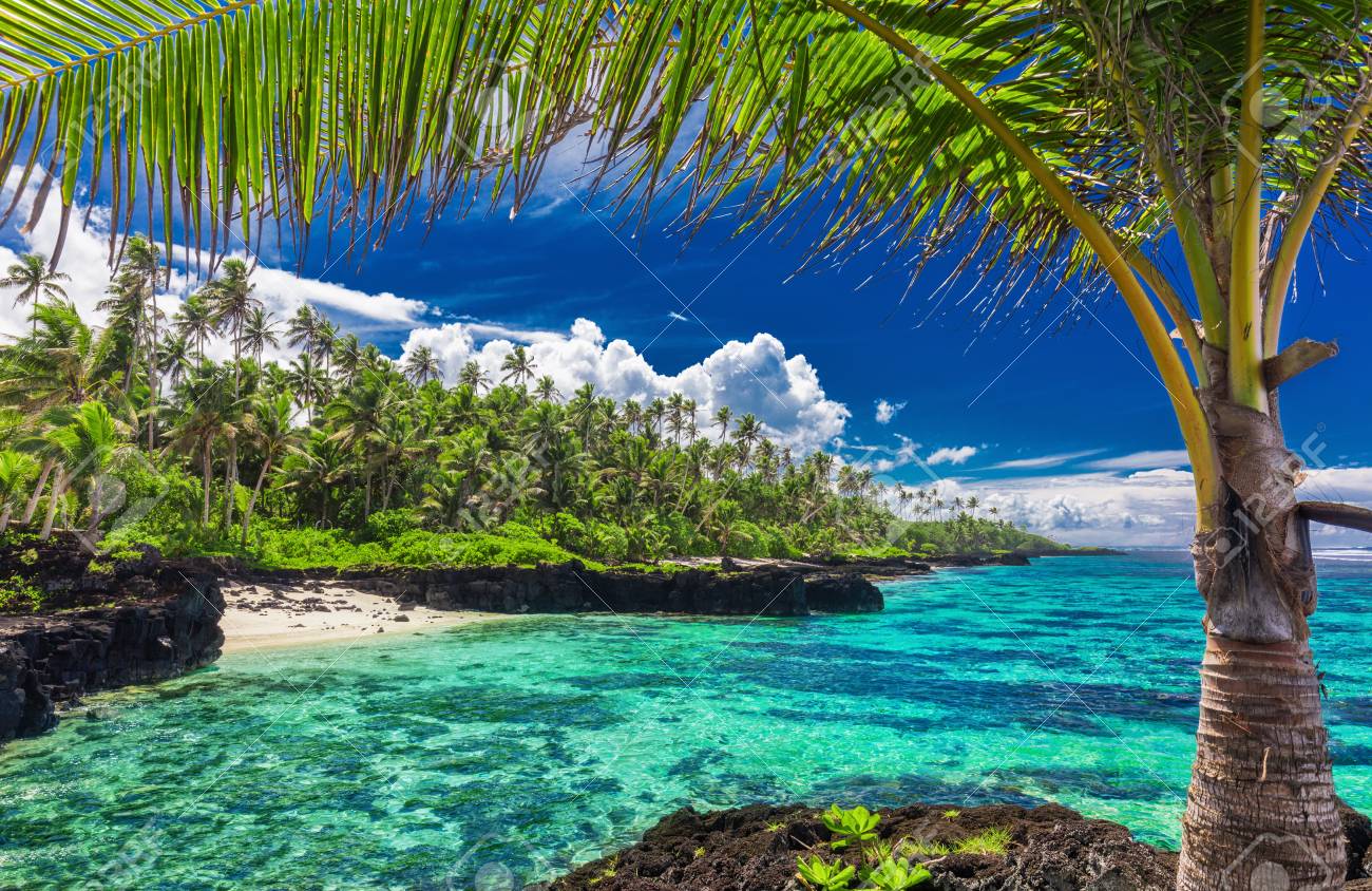 ヤシの葉 サモア諸島に囲まれたウポルの南側にサンゴ礁のビーチ の写真素材 画像素材 Image