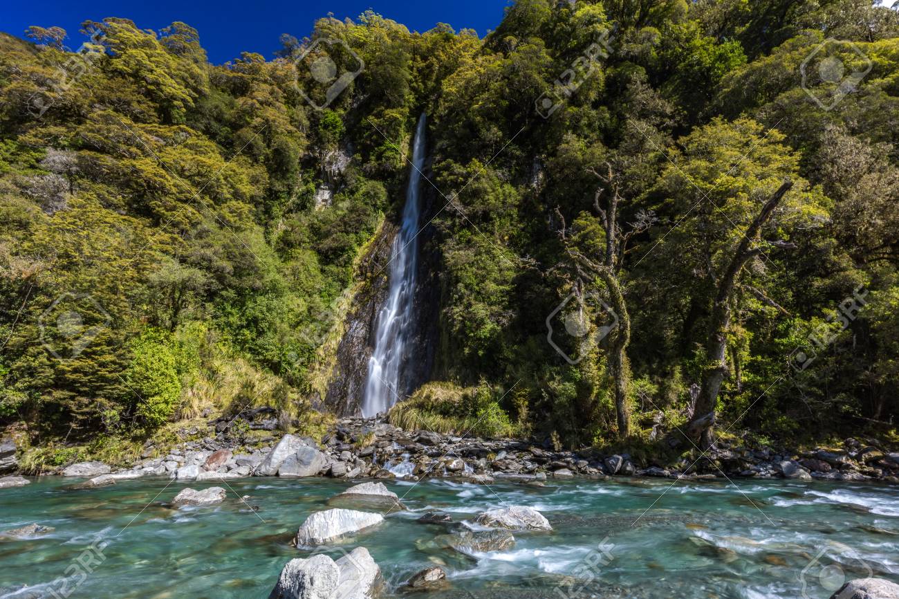 Thunder Creek Waterfall In Mt Aspiring National Park Haast Pass