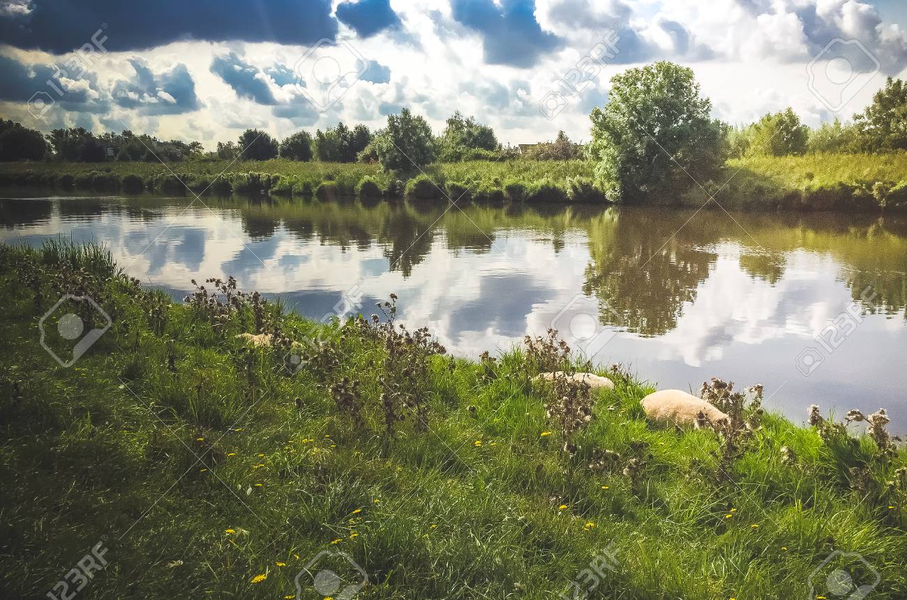 アムステルダム オランダで夏にオランダの自然 の写真素材 画像素材 Image