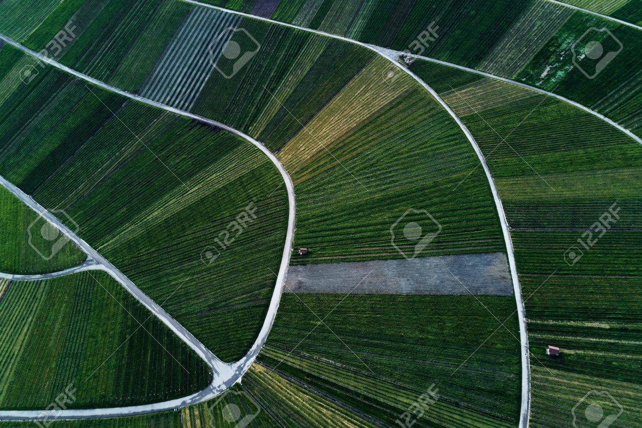 Weinberge Landschaft Auf Dem Hugel Von Oben Mit Drohne Lizenzfreie Fotos Bilder Und Stock Fotografie Image