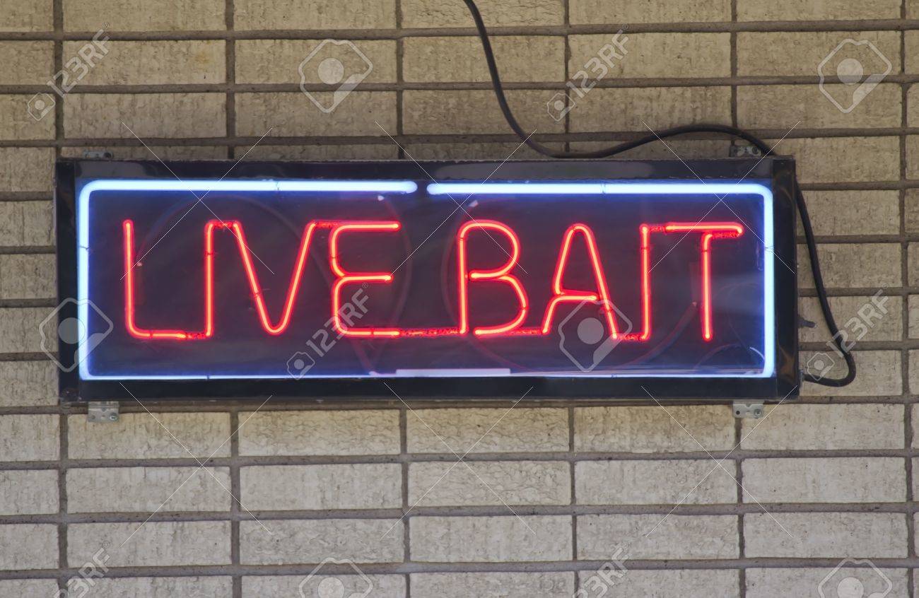 live bait store