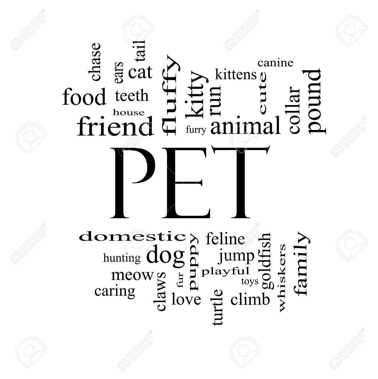 word pet