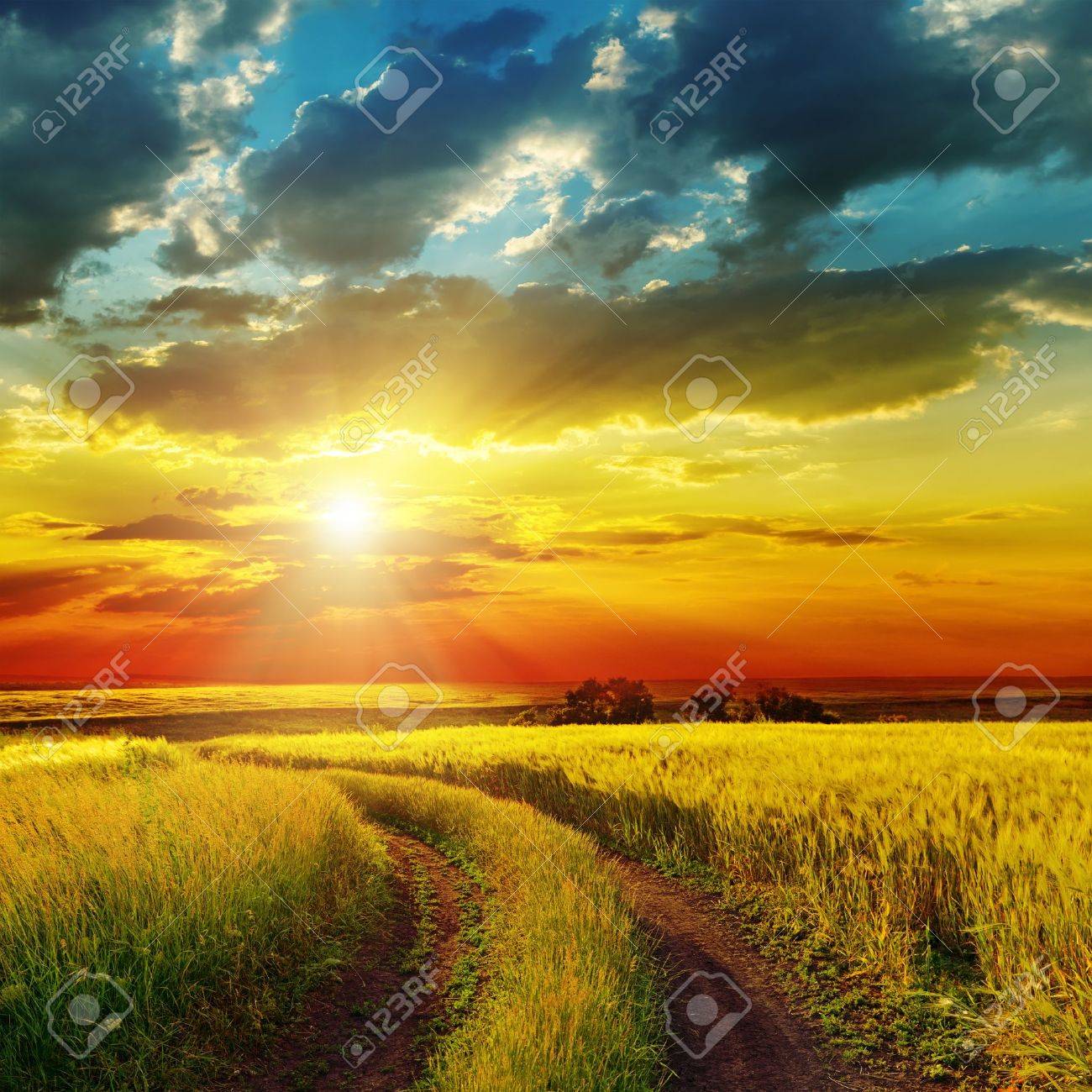 sunset over rural road near green field - 18006159 sunset over rural road near green field - 18006159