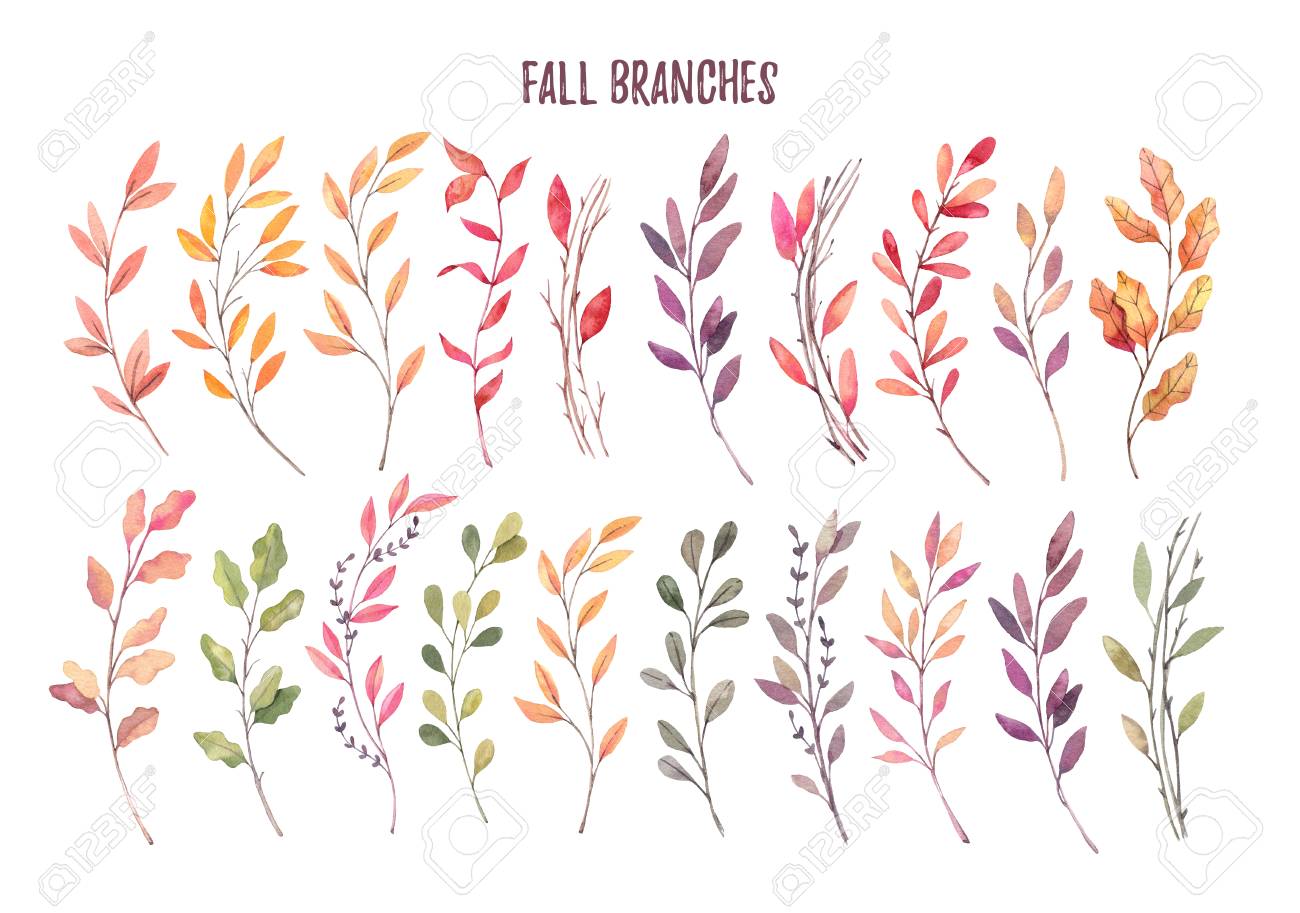 手描き水彩イラスト 秋のボタニカル アート 秋の葉 ハーブ 枝のセットです 花のデザイン要素です 招待状 グリーティング カード ブログ ポスター 最適印刷します の写真素材 画像素材 Image