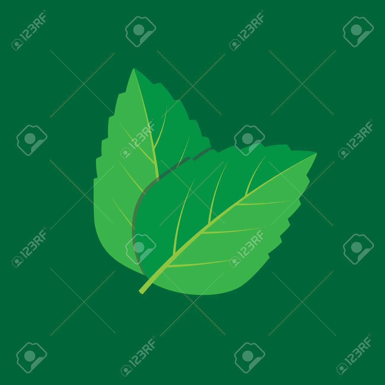 ミント グリーン イラスト セット のイラスト素材 ベクタ Image