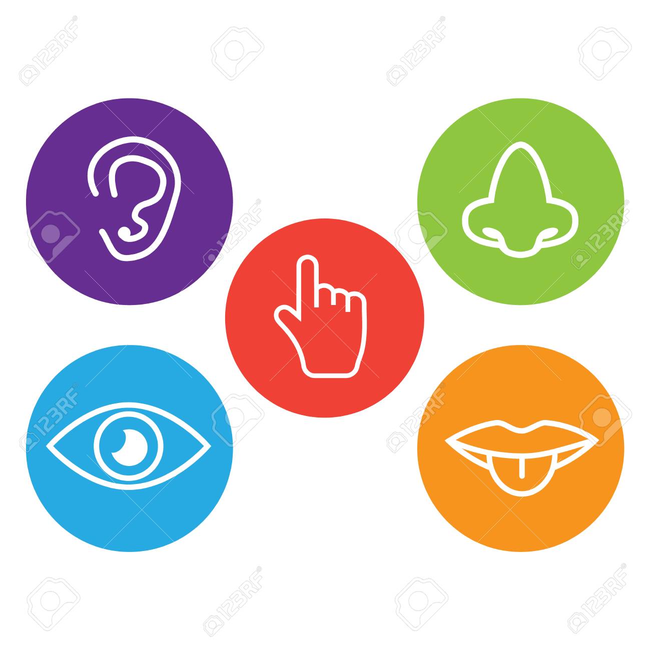 Five senses icon. Sets of icons representing the five senses - 102880951 Five senses icon. Sets of icons representing the five senses - 102880951