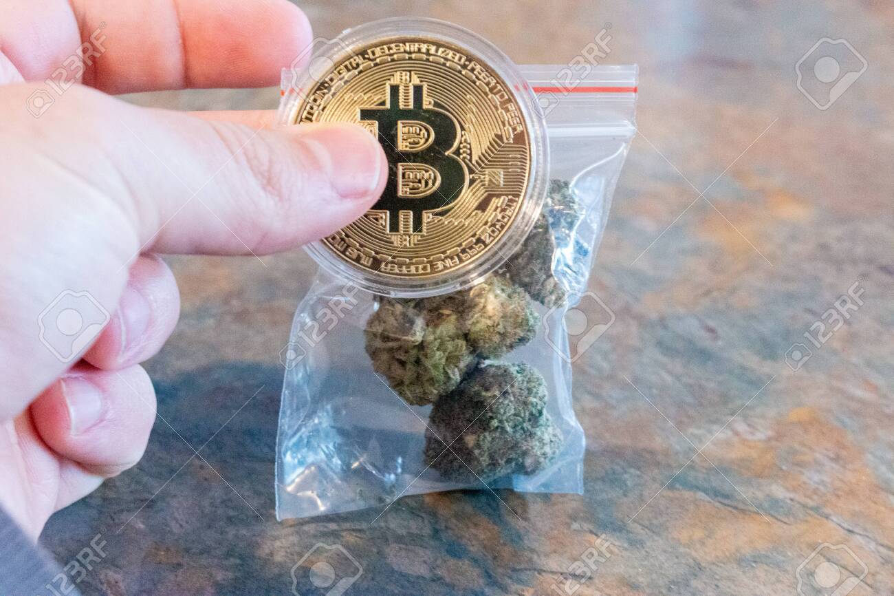 Cannabis Medical Marijuana Buds With Bitcoin Cryptocurrency Coins.. Stock  Photo, Picture and Royalty Free Image. Image 140451939.