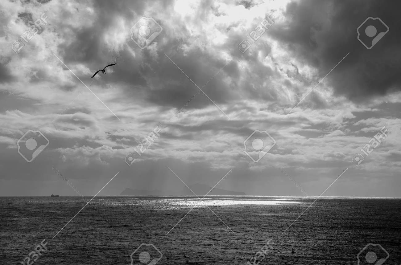Overcast sky over the sea black and white photography dark