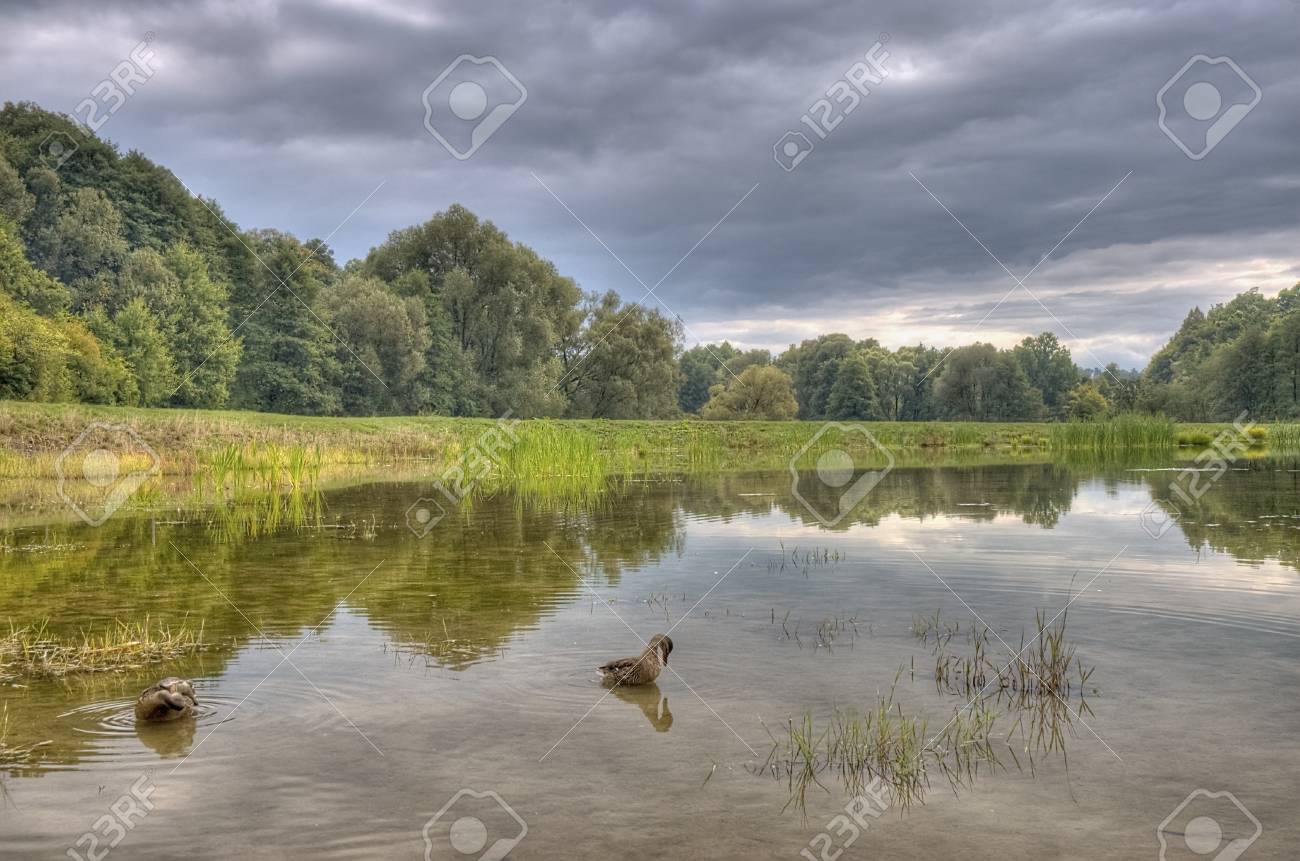 田舎の池のほとりの秋の風景 の写真素材 画像素材 Image 田舎の池のほとりの秋の風景 の写真素材 画像素材 Image