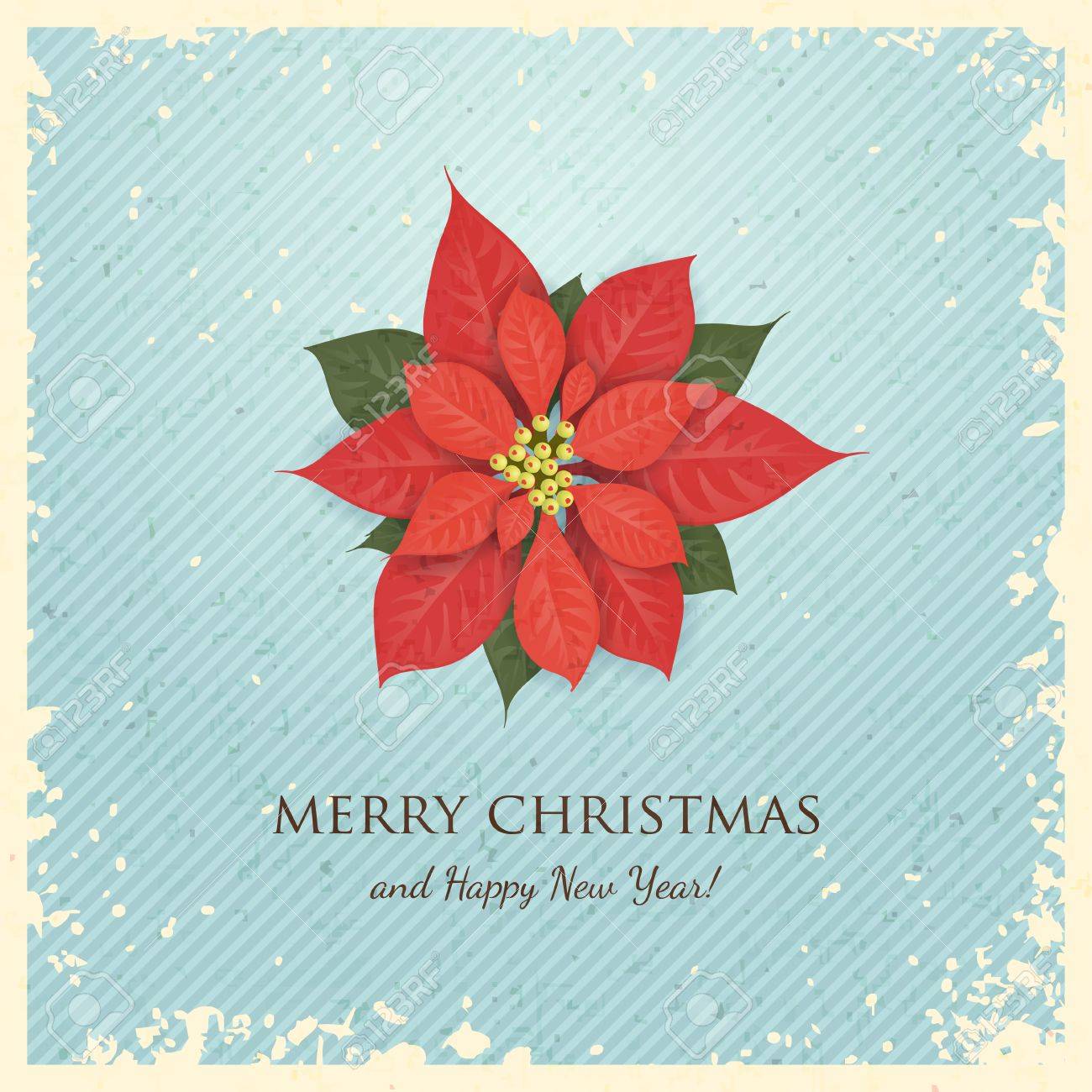 christmas greeting card with poinsettia poinsettia card