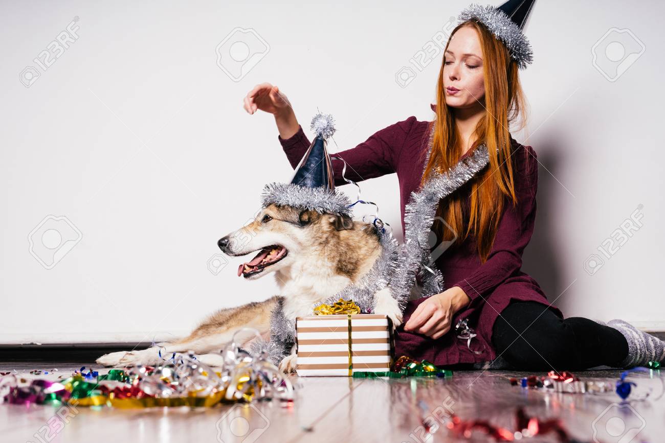 新年の飾りと贈り物を背景に犬と新年の帽子をかぶった女の子 の写真素材 画像素材 Image 新年の飾りと贈り物を背景に犬と新年の帽子をかぶった女の子 の写真素材 画像素材 Image
