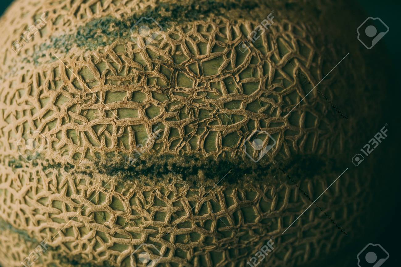 organic background textures