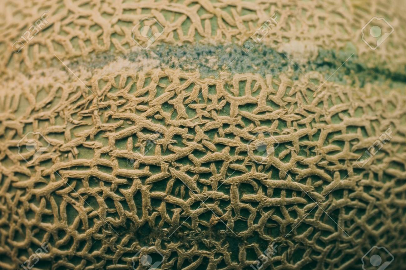 organic background textures