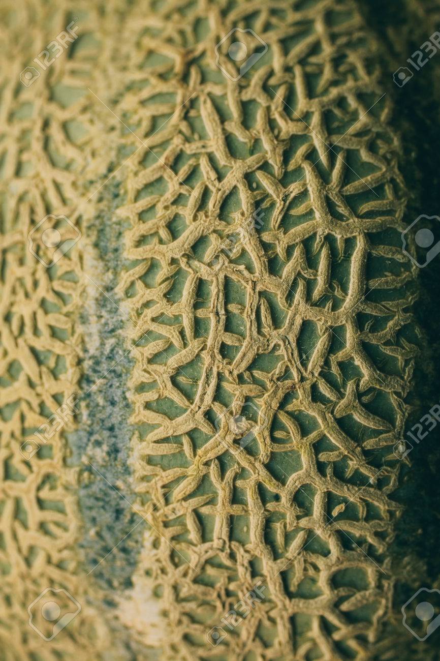 organic background textures