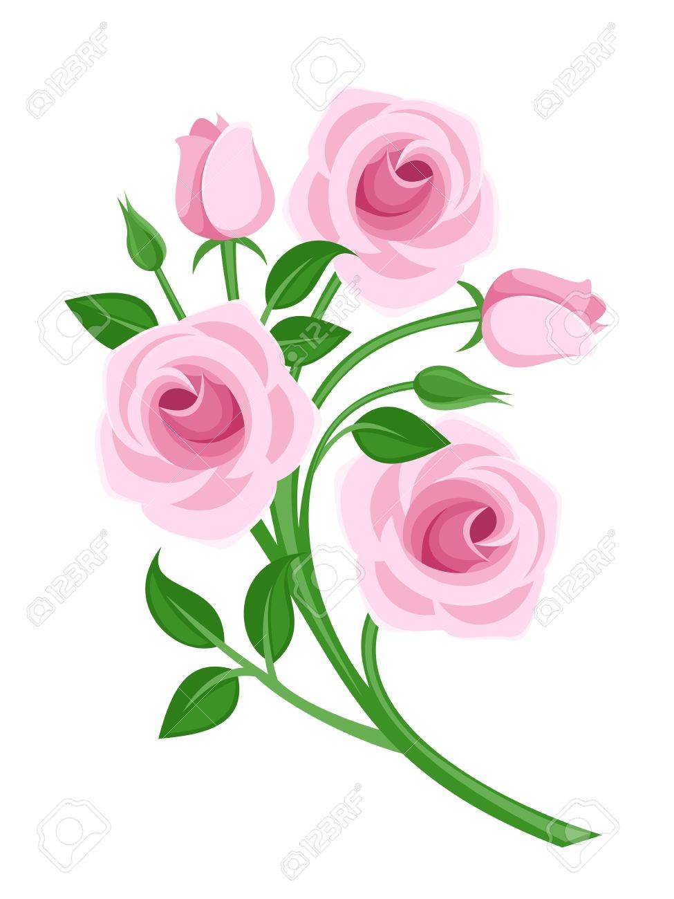 ピンクのバラ 芽および葉のイラスト のイラスト素材 ベクタ Image