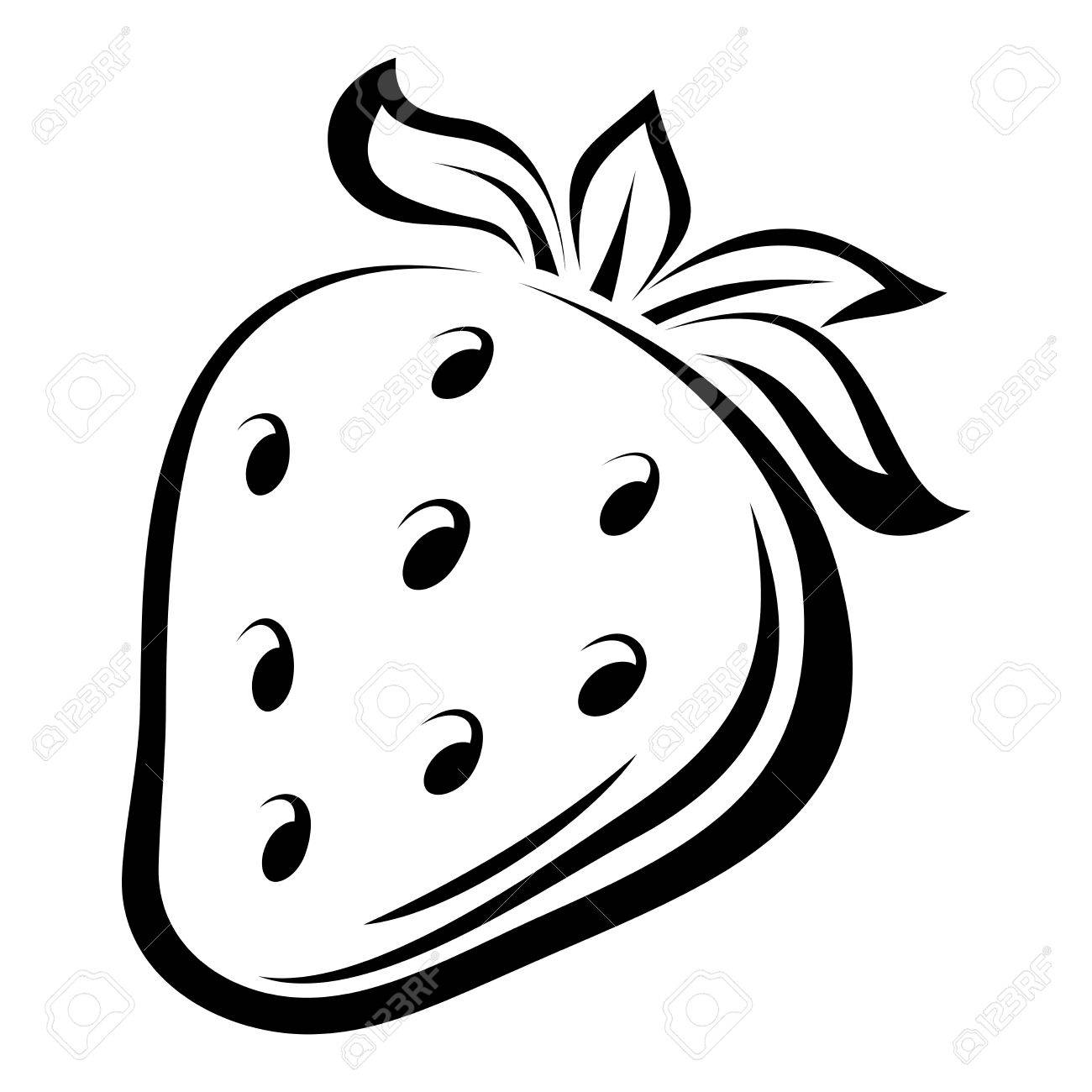 Contour Drawing Of Strawberry Vector Illustration Royalty Free ... for Clipart Strawberry Black And White
599kxo Contour Drawing Of Strawberry Vector Illustration Royalty Free ... for Clipart Strawberry Black And White
599kxo